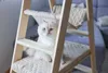 Kerbl Kratzbaum Ladder (97x35x134cm, massiv, Velour, 4 Produktbild-Vorschau 10