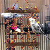 Filet d'escalade pour oiseaux, avec 4 jouets à mâcher en Voir les images du produit 6