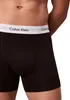 Calvin Klein 0000U2662G-001-XL, Boxerky, Boxerky, Dospělý, Náhled obrázku produktu 11