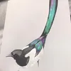 A watercolor painting of a magpie bird with iridescent feathers. Voir les images du produit