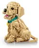 LEGO Icons 11384 Golden Retriever Welpe Anteprima dell’immagine prodotto 24