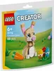 30716 Creatieve Paashaas (verpakt in plastic zak) Productafbeelding-voorbeeld 3