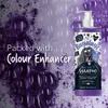 Bugalugs Hundeshampoo Maxi White 500 ml Produktbild-Vorschau 11