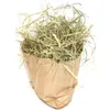 50g Ostergras Wiesen-Heu Spreewald-Heu Natur Bastelgras Produktbild-Vorschau 1