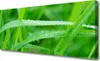 Tulup Leinwand-Bilder 125x50 Wandbild Canvas Kunstdruck Produktbild-Vorschau 1