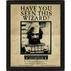 Harry Potter - Wanted - 3D-Bild Produktbild-Vorschau 2