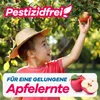 Gerobug Apfelwickler-Pheromonfalle 2 Stk. Apfelmadenfalle Produktbild-Vorschau 6
