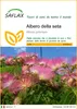 SAFLAX  - Albero della seta - 50 semi - Albizia Anteprima dell’immagine prodotto 1
