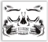 Tattoo Gesicht Skelett Knochen Halloween Produktbild-Vorschau 6