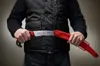 FELCO 630 Baumsäge mit Träger Schnitt-Ã¸ 120 mm, Voir les images du produit 4