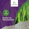 LERAVA STARTER Rasendünger Startdünger  [75m²] - Aktiviert Produktbild-Vorschau 2