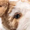 Steiff Kuscheltier Foxterrier Foxy Bunt (32cm) Produktbild-Vorschau 6