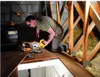 DeWalt DWS777-QS Paneelsäge 216 mm, 1800 Watt Produktbild-Vorschau 21