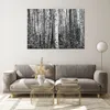 Bilder auf glas - Einteilig - Birken Wald Monochrom - Produktbild-Vorschau 7