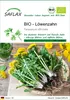 SAFLAX - BIO - Löwenzahn - 400 Samen - Taraxacum officinale Produktbild-Vorschau 1