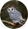 MuchoWow® Rundes Wandbild - Runde Bilder Eule - Vogel - Produktbild-Vorschau 1