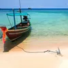 UISEBRT Ancre de bateau Ancre pliante Ancre pliante Voir les images du produit 8