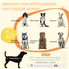PawHut Hundekäfig, Hundehütte für Mittelegroße Hunde, Produktbild-Vorschau 4