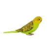Mojo Fun Budgerigar Green, 3 lat(a), FARMLAND, Zielony, Podgląd zdjęcia produktu 4