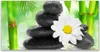 Acrylglasbilder 120x60 Wandbild Druck Bambusrohre Blume Produktbild-Vorschau 1