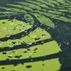 Wodoodporny poliestrowy obrus ogrodowy Monstera liść Podgląd zdjęcia produktu 3
