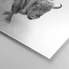 Bilder auf glas - Einteilig - Wisent Schwarzweiß Licht - Produktbild-Vorschau 5