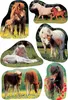 HERMA Sticker DECOR "Pferdefotos" 3 Blatt à 6 Sticker Produktbild-Vorschau 2