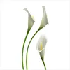 Wallario Premium Glasbild, freischwebende Optik, kräftige Produktbild-Vorschau 1