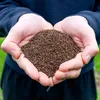 Phacelia 10 kg Gründüngung Stilllegung Zwischenfrucht Produktbild-Vorschau 1
