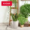 KADAX Blumentopf aus Kunststoff "Costa", mit Produktbild-Vorschau 5