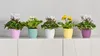 Vaso da fiori KADAX "Agen", fioriera con sottovaso, bianco, Anteprima dell’immagine prodotto 9