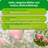 Purgrün Seidenbaum-Dünger 1 kg Produktbild-Vorschau 3