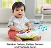 Fisher-Price Laugh & Learn GFK01, 0,5 rok / roky, Zvukové Náhľad obrázku produktu 11