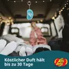 Gélový osviežovač vzduchu Jelly Belly 3D - čučoriedka Náhľad obrázku produktu 11