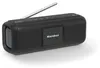 KARCHER DAB GO DAB Go DAB+/UKW-Radio mit Bluetooth (DAB GO) Voir les images du produit 1