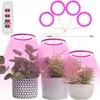 Vollspektrum LED Pflanzenlampe Dimmbar 4 Ring Pflanzenlicht Produktbild-Vorschau 1
