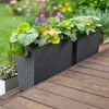 Two dark grey rectangular planters filled with green and yellow plants sit on a wooden deck, with a blurred garden background. Produktbild-Vorschau