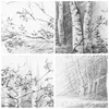 Bilder auf glas - Einteilig - Skizze Wald Birke - 70x70cm - Produktbild-Vorschau 8