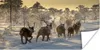 MuchoWow® Poster Rentiere - Bäume - Schnee 160x80 cm - Foto Produktbild-Vorschau 1