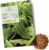 Rucola Samen (Eruca sativa, 500 Korn) - Rauke Saatgut aus Produktbild-Vorschau 1