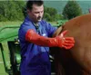 Kerbl Einmalhandschuhe Vetbasic, 90 cm Länge, 100 Stück, Produktbild-Vorschau 1