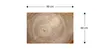 Metallische Magnettafel BAUMSTAMM NATUR BAUMKERN 90x60cm Produktbild-Vorschau 6