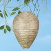Abschreckung für Wespen - Bienenstock Produktbild-Vorschau 4