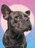 Puzzle 1000 piese Im Watching You 30097 Cherry Pazzi Produktbild-Vorschau 3