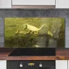 Coloray Küchenrückwand 120x60 Spritzschutz aus Glas - Tiere Produktbild-Vorschau 2