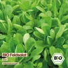 Samenliebe  Feldsalat Samen | Elan - großblättrig & Produktbild-Vorschau 4