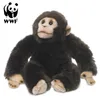 WWF - Peluche - Chimpanzé (23cm) réaliste Peluche singe en Voir les images du produit 1