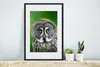 MuchoWow® Gerahmtes Poster Vogel - Eule - Tiere - Braun - Produktbild-Vorschau 4