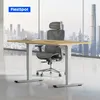 Scrivania regolabile in altezza FlexiSpot, elettrica, Anteprima dell’immagine prodotto 2
