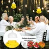 Wilhelm Sell® 2x Insektenfalle zum Aufhängen aus Kunststoff Produktbild-Vorschau 3